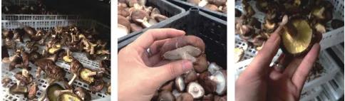 明升mansion88(中国集团)最新官方网站