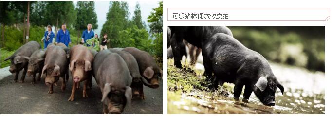 明升mansion88(中国集团)最新官方网站