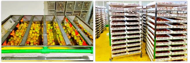 明升mansion88(中国集团)最新官方网站