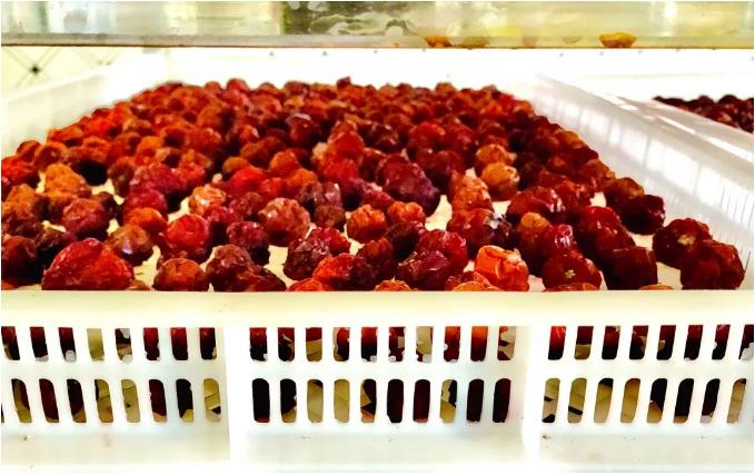 明升mansion88(中国集团)最新官方网站