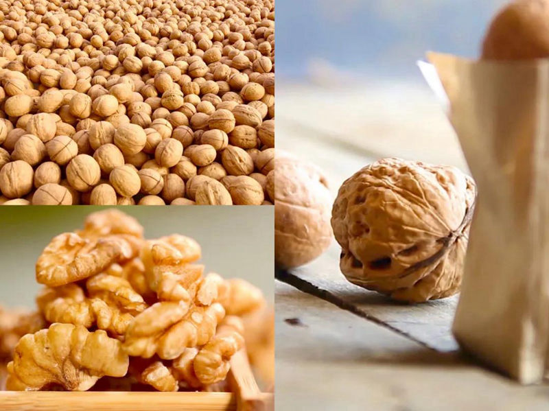 明升mansion88(中国集团)最新官方网站