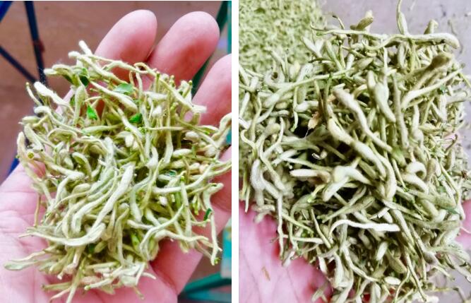 明升mansion88(中国集团)最新官方网站