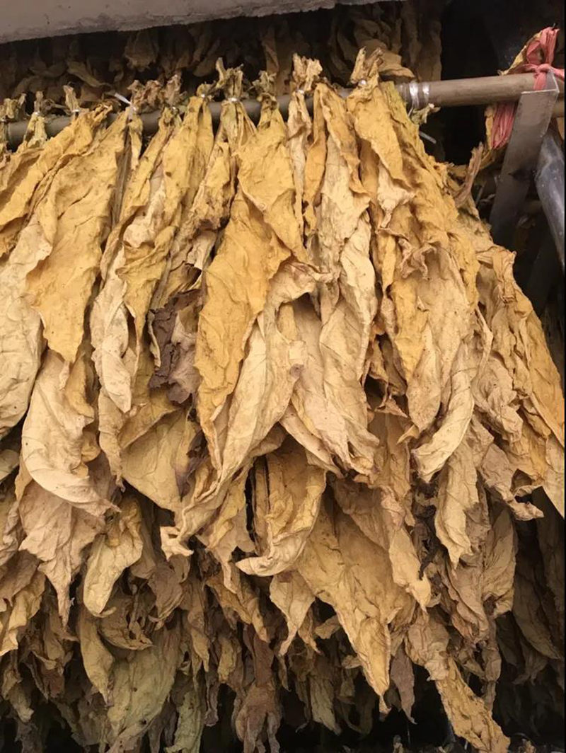 明升mansion88(中国集团)最新官方网站