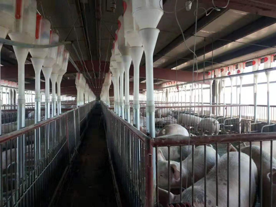 20201218091515255429