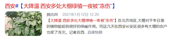 20210120083302634622