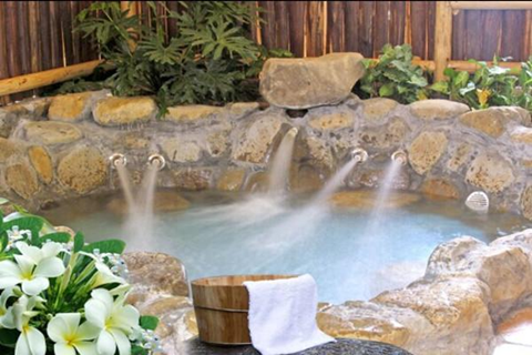 20210220173652941003