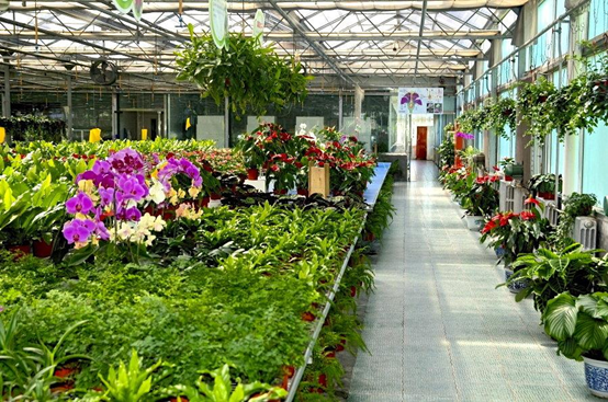 20210223102508300939