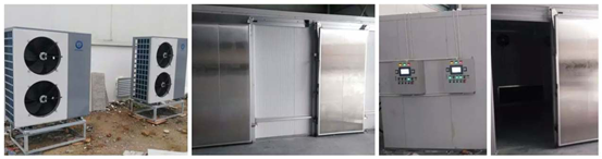 20210401114328791204