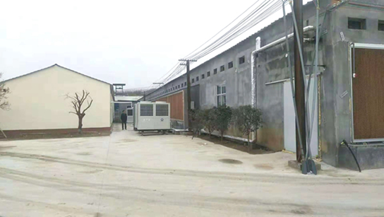 20210409084038947293