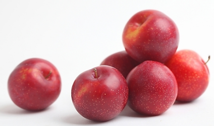 20210512093158862808