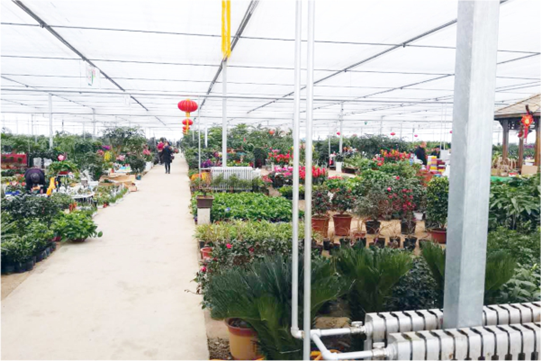 20210513172029968359