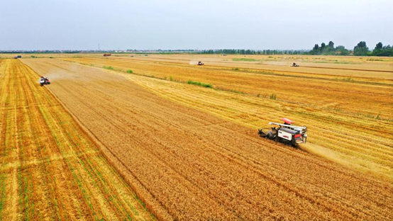 20210601091853920294