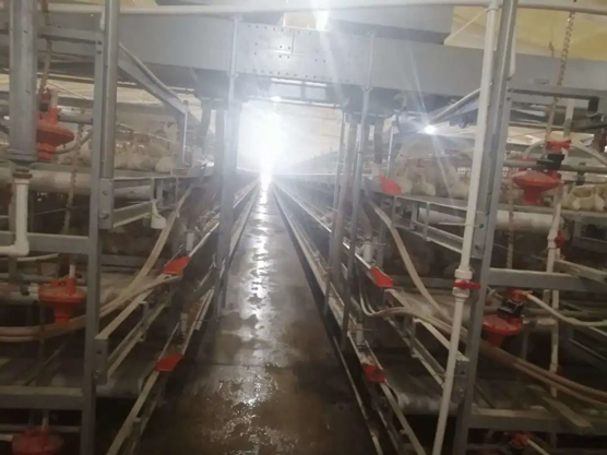 20210603100159777362