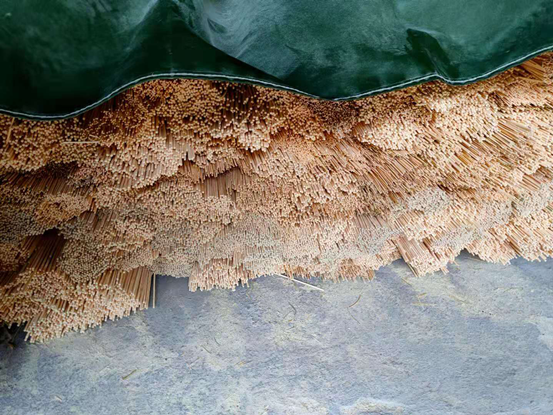 20210607095247319671