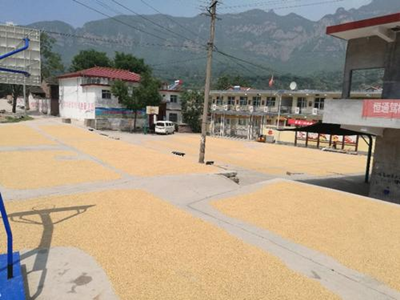 20210617150326954736