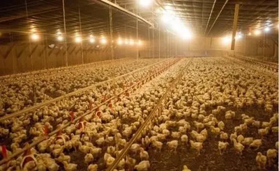 20210729102319678567