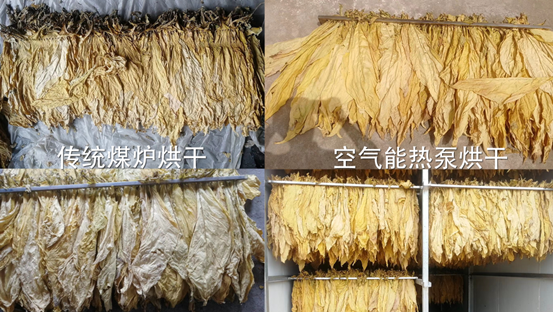 20210730104615479330