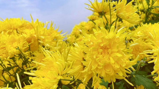 20210803170014155920