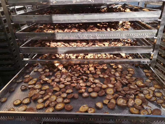 20210817144229978192