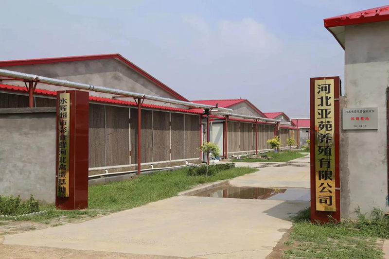 明升mansion88(中国集团)最新官方网站