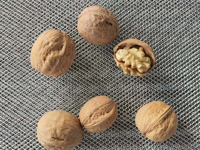 明升mansion88(中国集团)最新官方网站