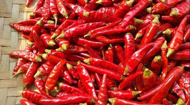 明升mansion88(中国集团)最新官方网站