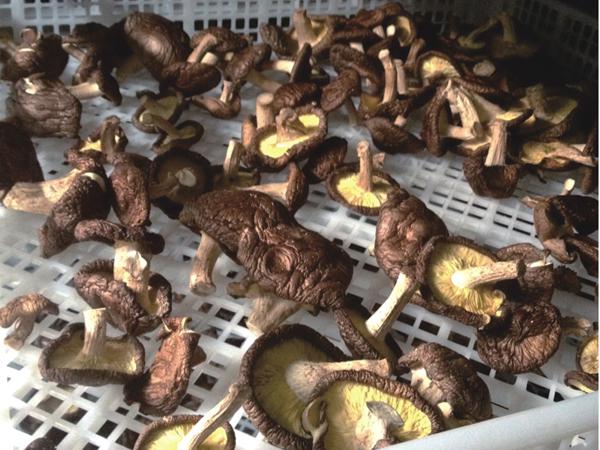 明升mansion88(中国集团)最新官方网站