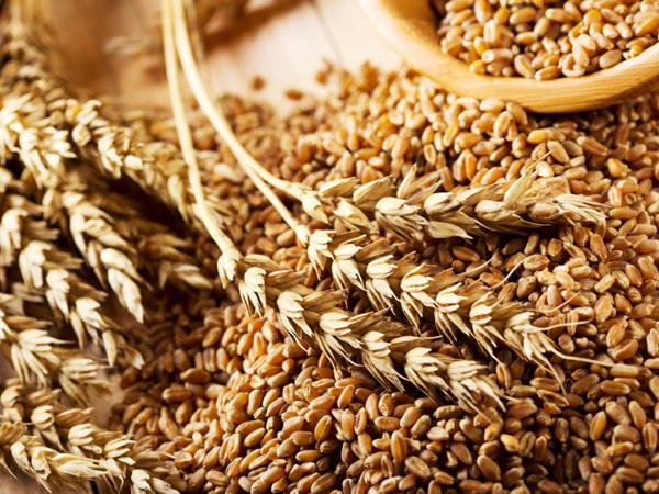 明升mansion88(中国集团)最新官方网站