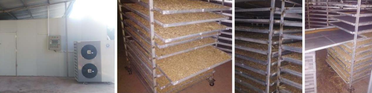 明升mansion88(中国集团)最新官方网站