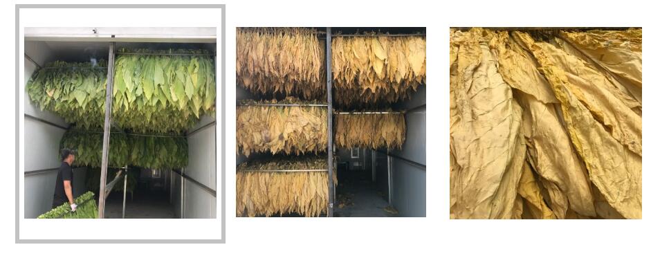 明升mansion88(中国集团)最新官方网站