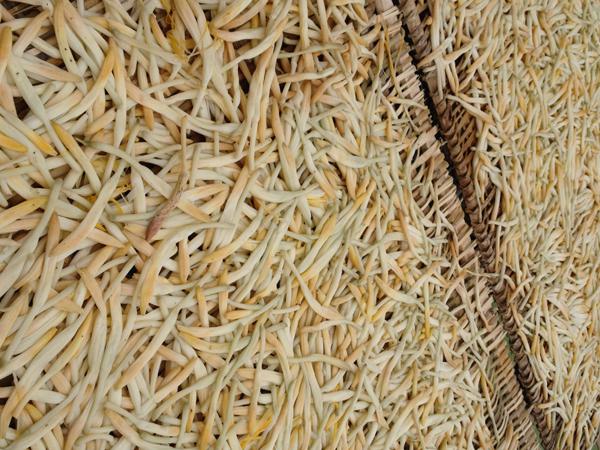 明升mansion88(中国集团)最新官方网站