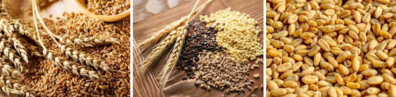 明升mansion88(中国集团)最新官方网站