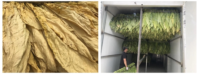 明升mansion88(中国集团)最新官方网站