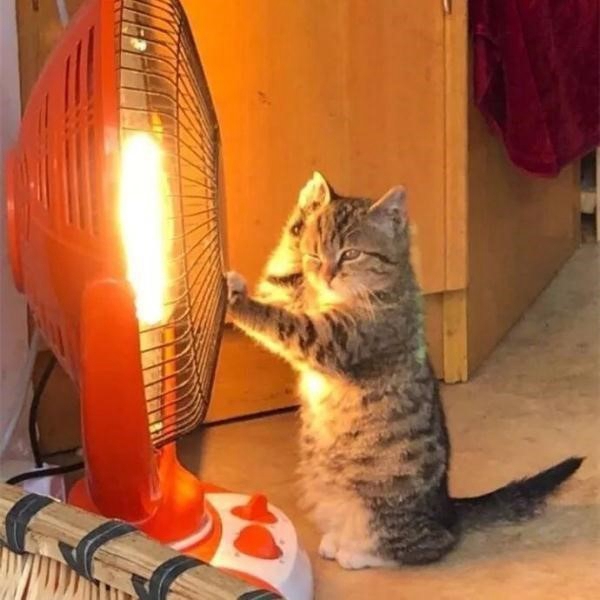 明升mansion88(中国集团)最新官方网站